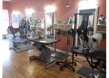 THE BEST 10 Pet Groomers in KELOWNA, BC 